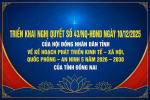 hình